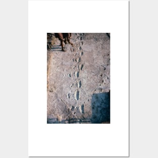 Excavation of the trail of Laetoli footprints. (E437/0040) Posters and Art